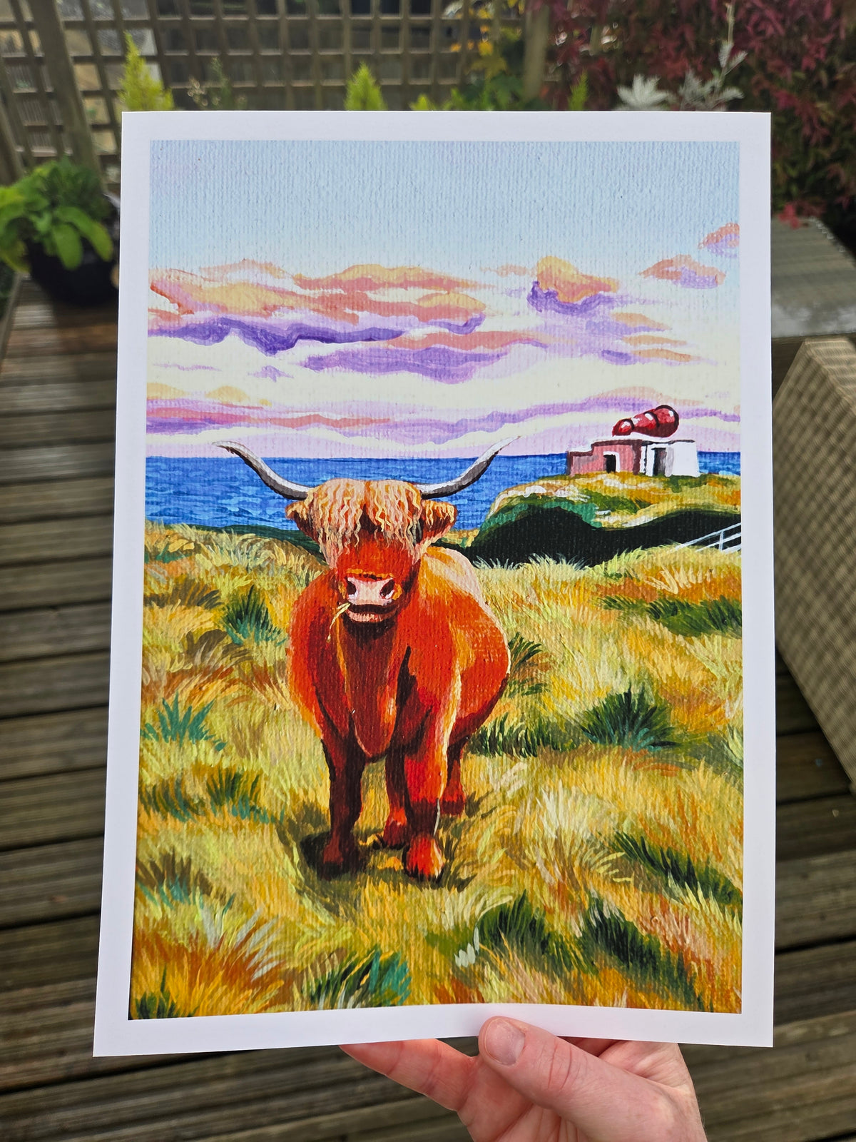 'Highland Cow' Art Print