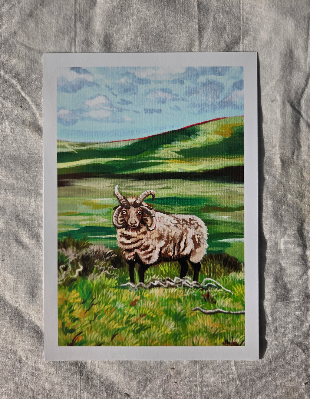'Loughtan Sheep' Art Print