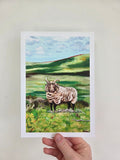 'Loughtan Sheep' Art Print