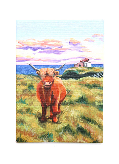 'Highland Cow in Langness' - Mini Original