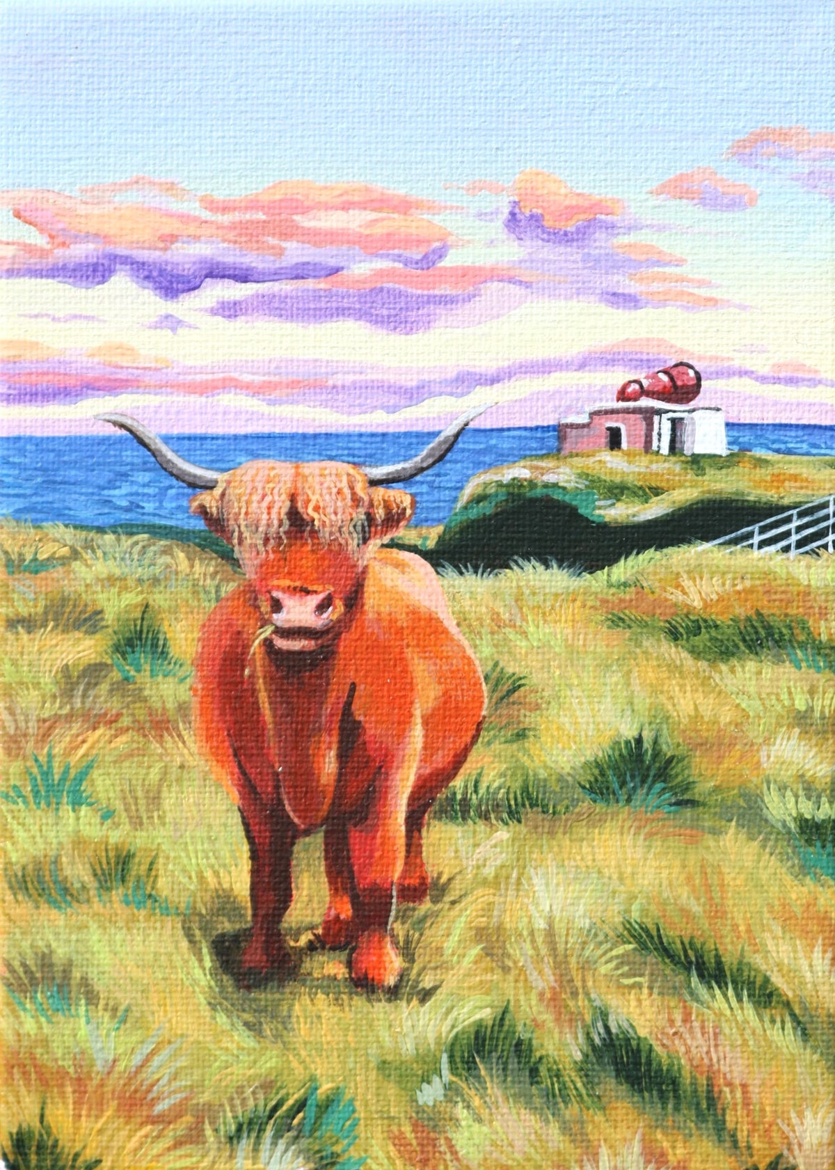 'Highland Cow in Langness' - Mini Original