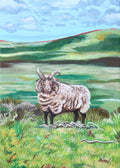 'Loughtan Sheep' - Mini Original