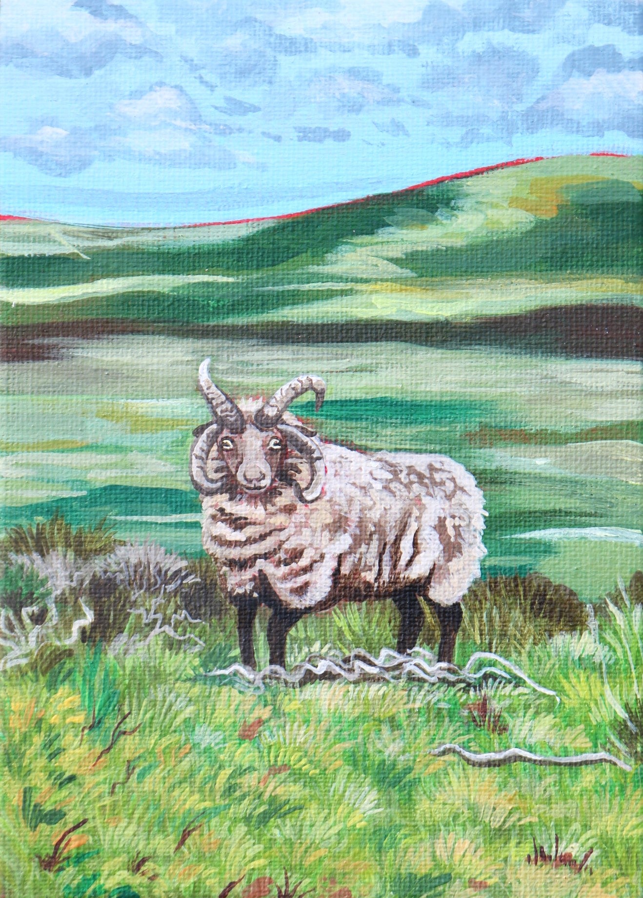 'Loughtan Sheep' - Mini Original